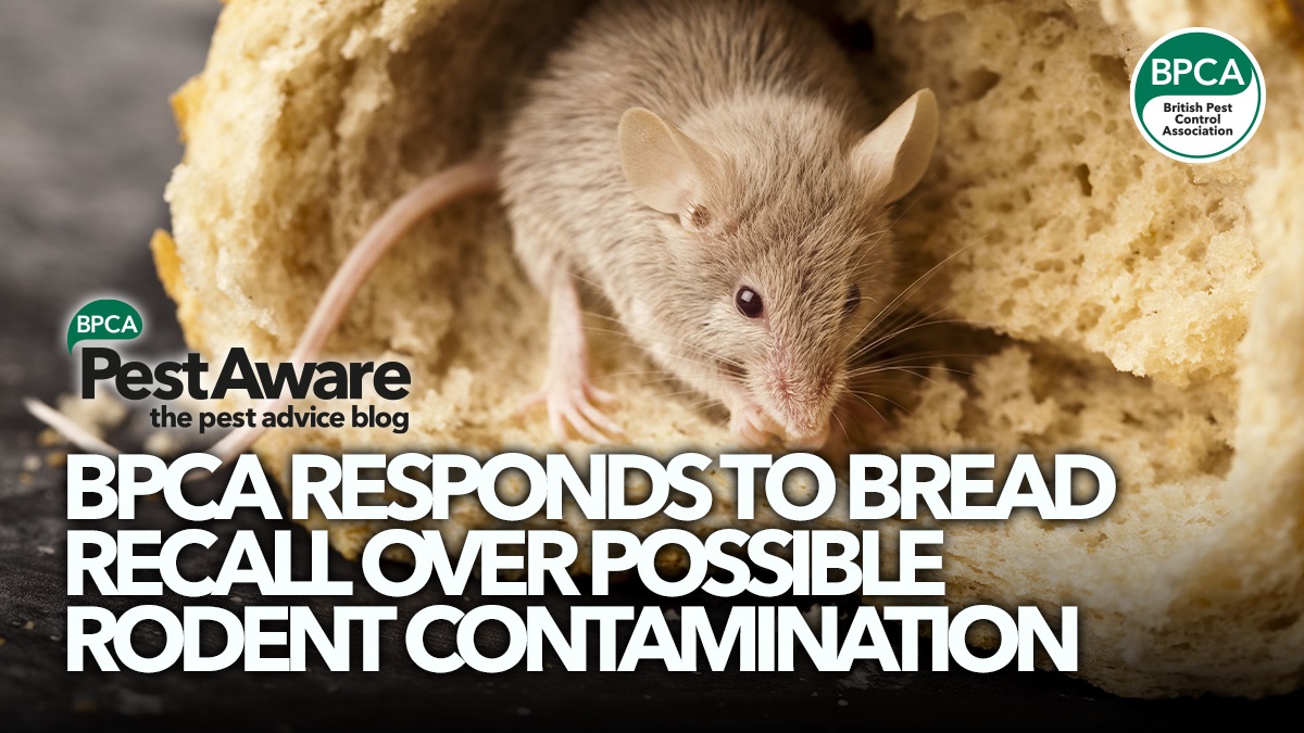 bpca-responds-to-bread-recall-contamination-hero